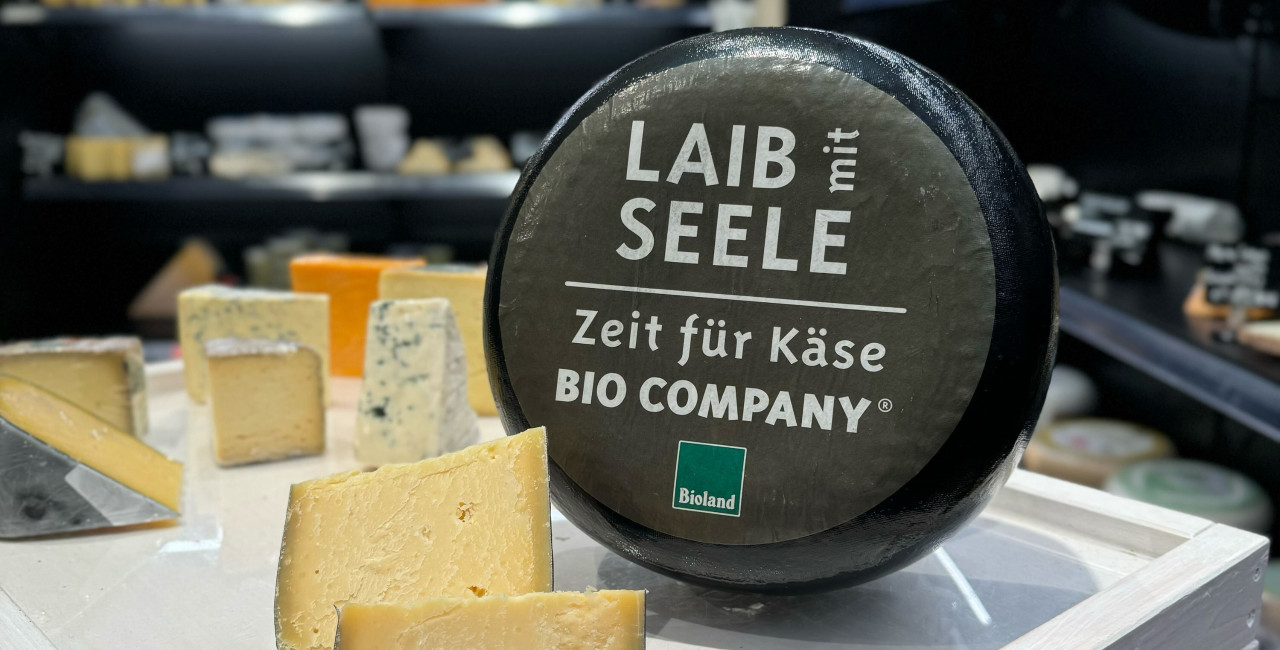 Unsere neue Käse-Spezialität